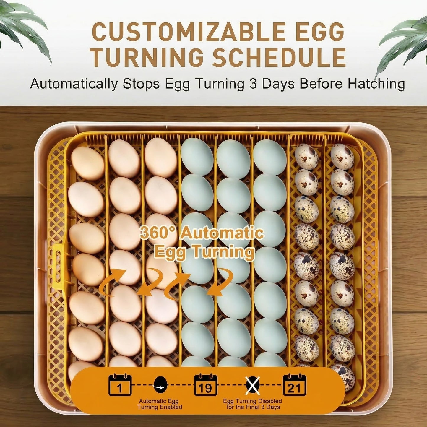 KRISRATE 56 Egg Incubator with Automatic Turning & Auto Humidification - Temperature Control, Egg Candler & 360° View for Chicken/Duck/Quail Hatching