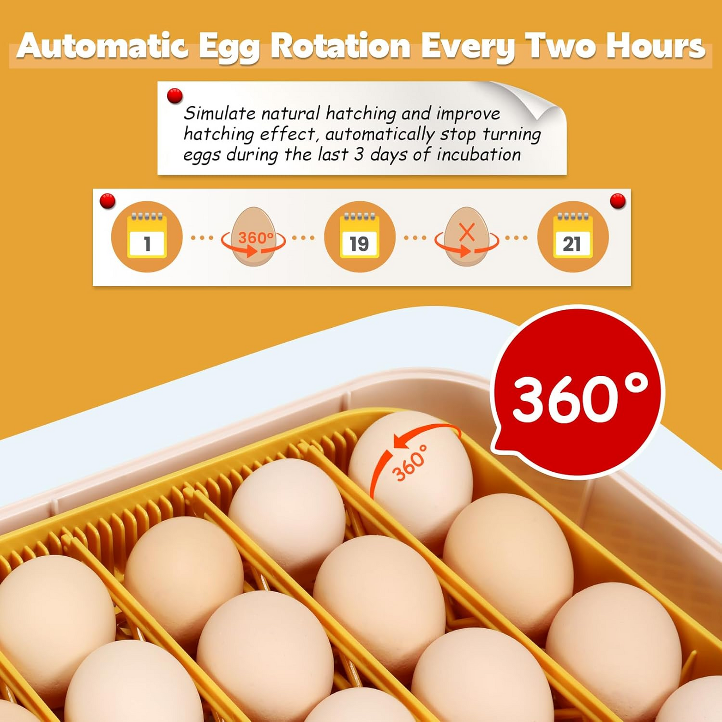KRISRATE 56 Egg Incubator with Automatic Turning & Auto Humidification - Temperature Control, Egg Candler & 360° View for Chicken/Duck/Quail Hatching