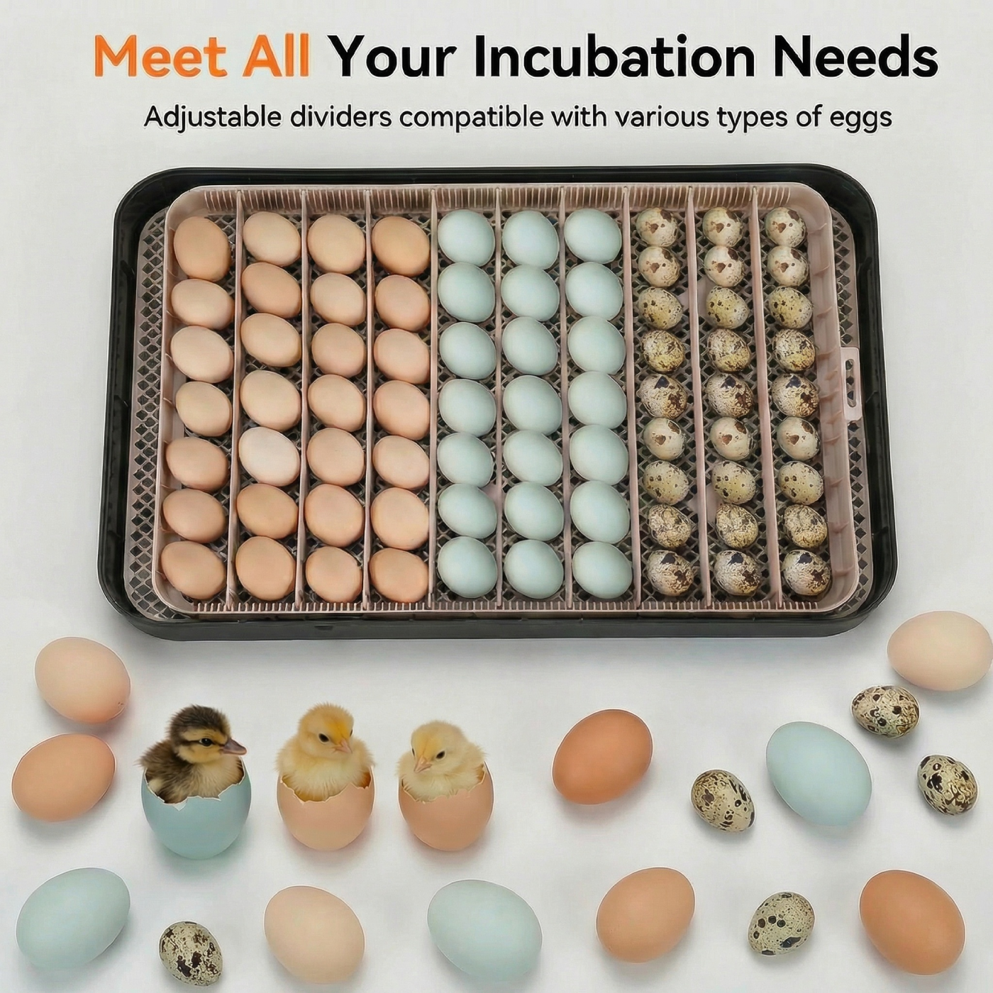 KRISRATE 70 Egg Incubator with Automatic Egg Turning & Auto Humidification, Temperature Control, Egg Candler for Chicken Duck Quail Hatching, Grey