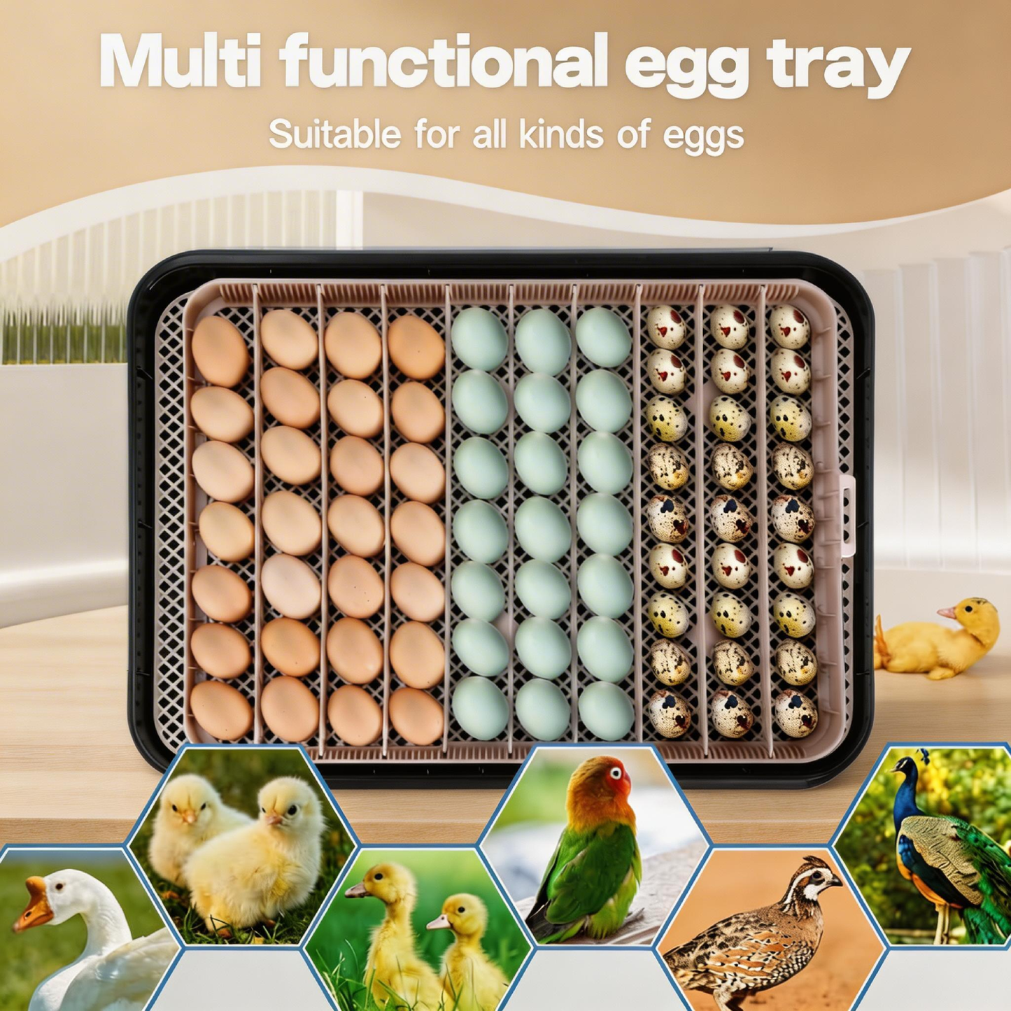 KRISRATE 70 Egg Incubator with Automatic Egg Turning & Auto Humidification, Temperature Control, Egg Candler for Chicken Duck Quail Hatching, Grey