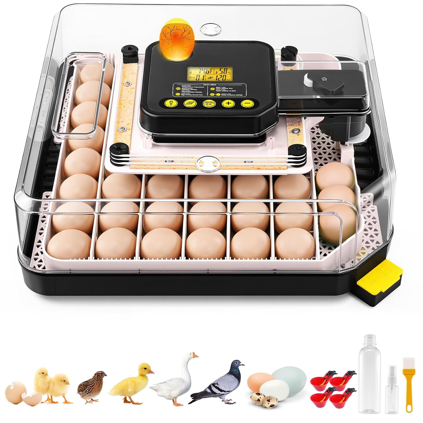 KRISRATE 48 Egg Incubator with Auto Turning & Digital Temp/Humidity Control - 360° Clear View Hatcher with LED Egg Candler for Chicken & Duck Eggs