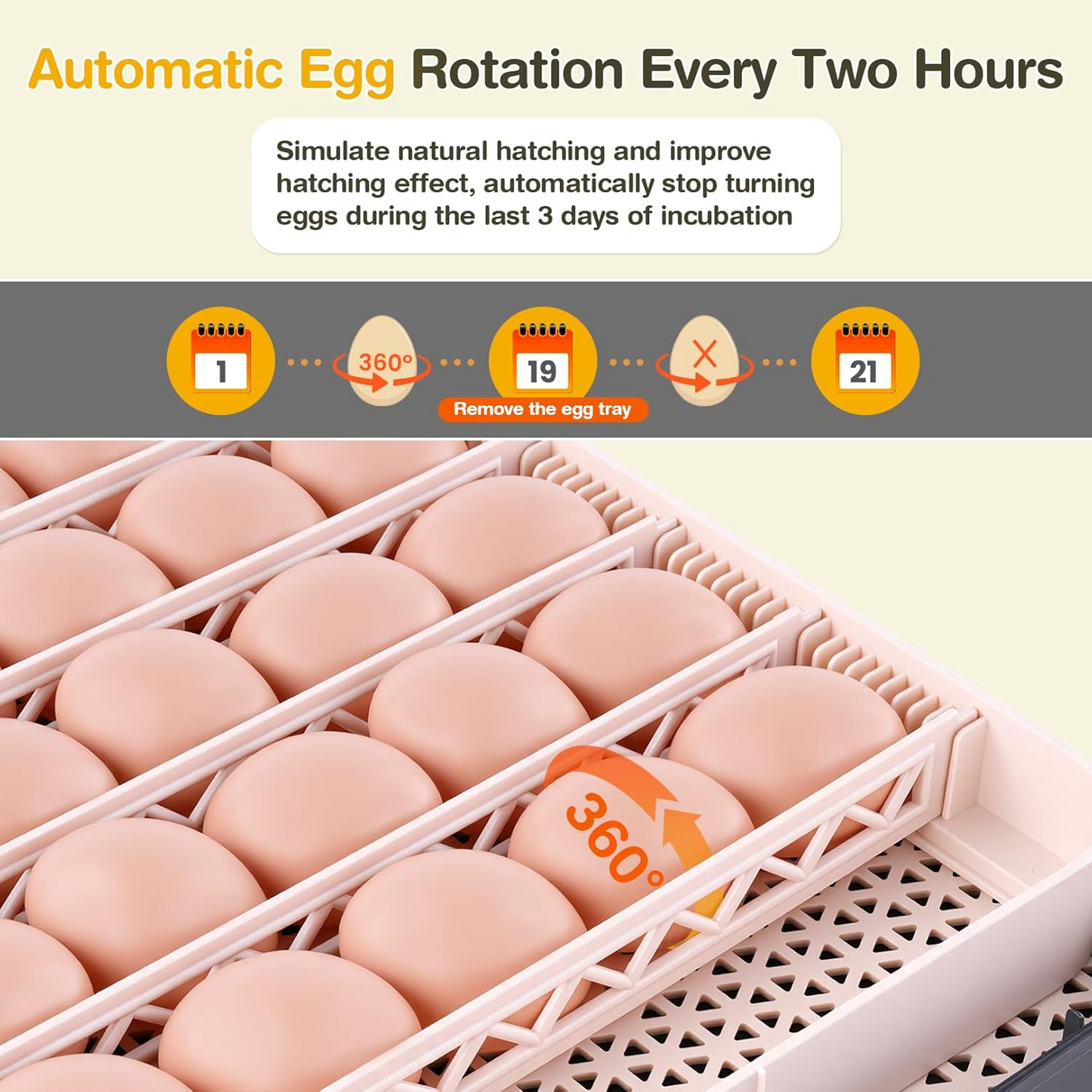 KRISRATE 48 Egg Incubator with Auto Turning & Digital Temp/Humidity Control - 360° Clear View Hatcher with LED Egg Candler for Chicken & Duck Eggs