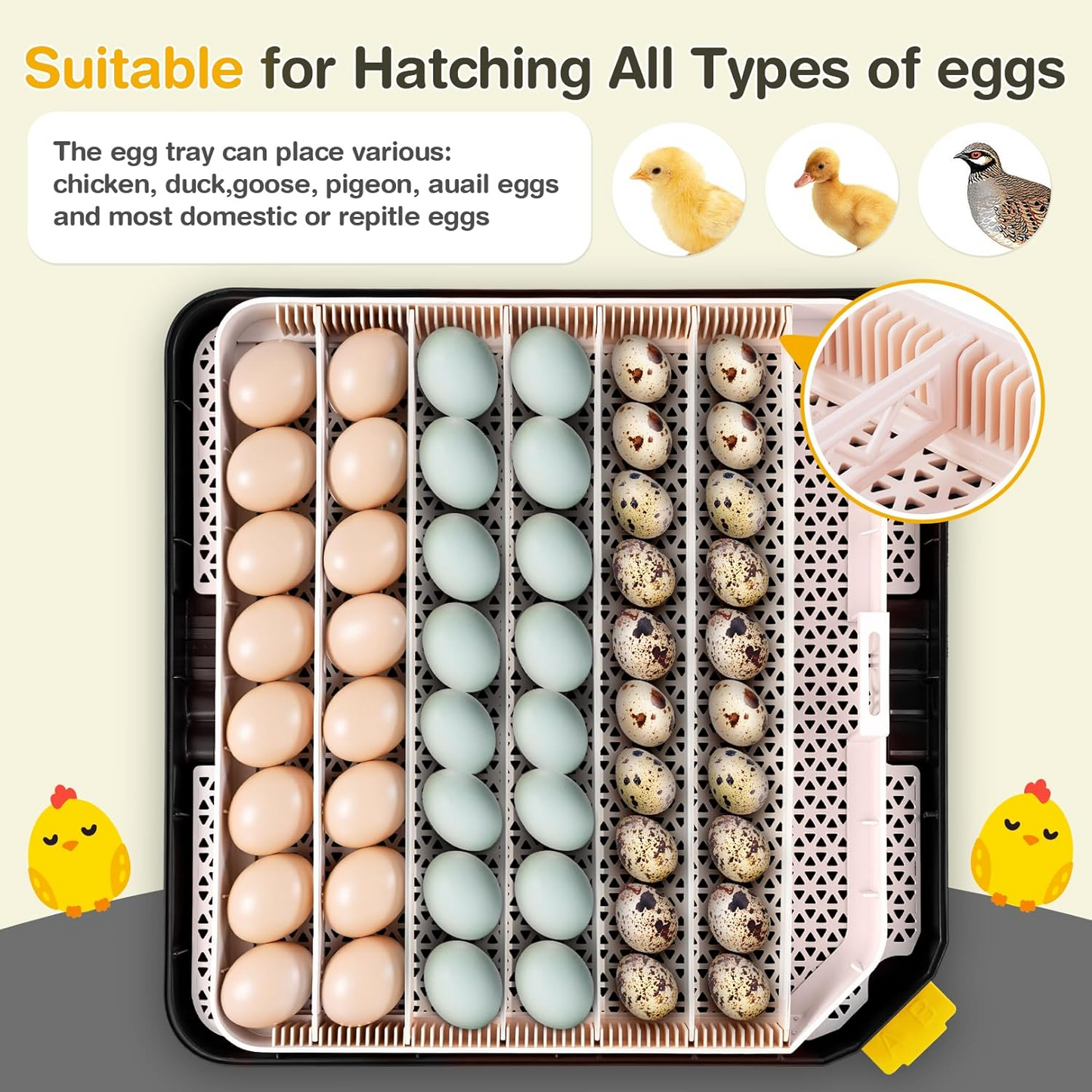 KRISRATE 48 Egg Incubator with Auto Turning & Digital Temp/Humidity Control - 360° Clear View Hatcher with LED Egg Candler for Chicken & Duck Eggs