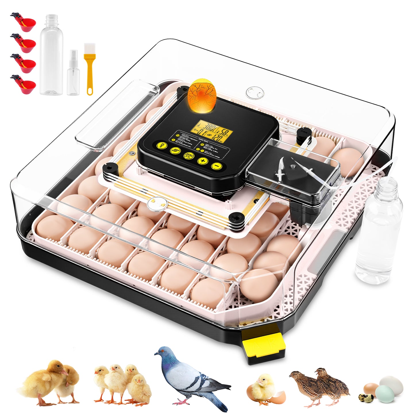 KRISRATE 48 Egg Incubator with Auto Turning & Digital Temp/Humidity Control - 360° Clear View Hatcher with LED Egg Candler for Chicken & Duck Eggs