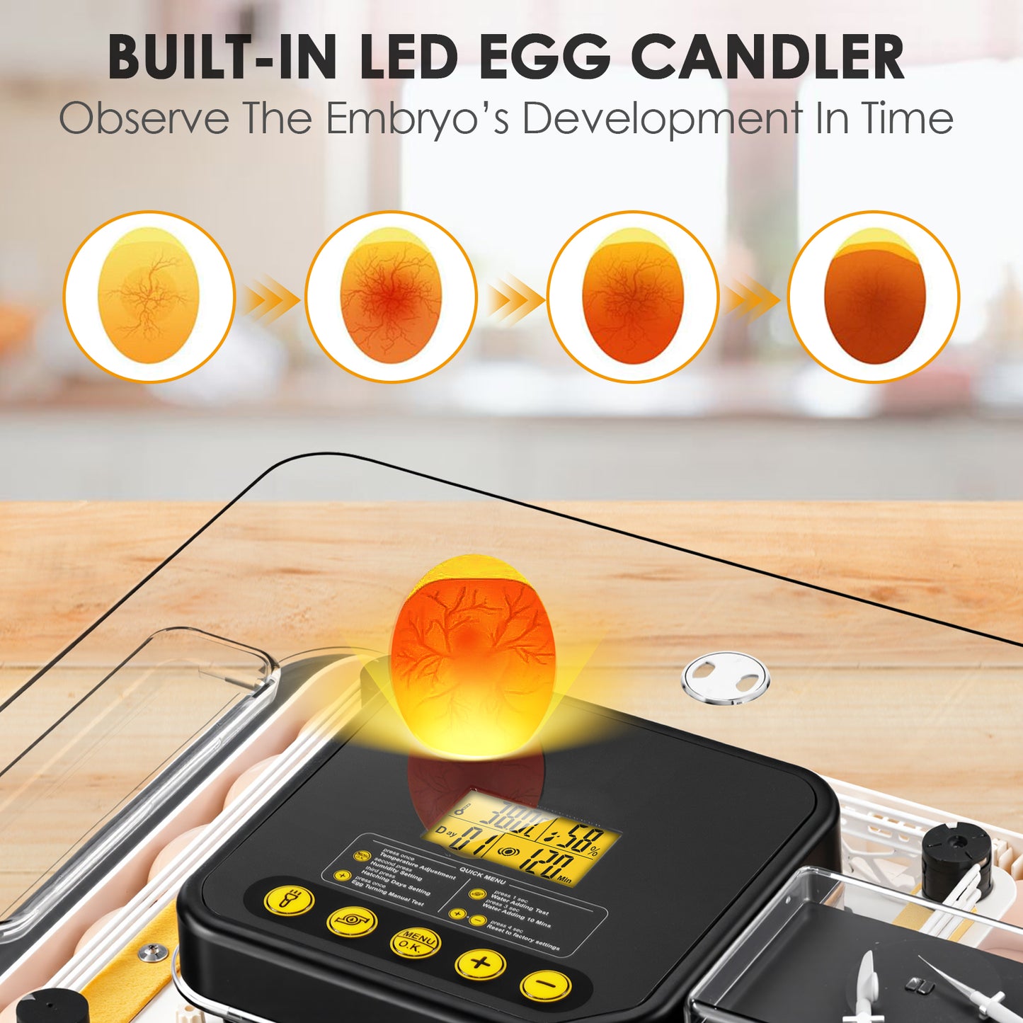 KRISRATE 48 Egg Incubator with Auto Turning & Digital Temp/Humidity Control - 360° Clear View Hatcher with LED Egg Candler for Chicken & Duck Eggs