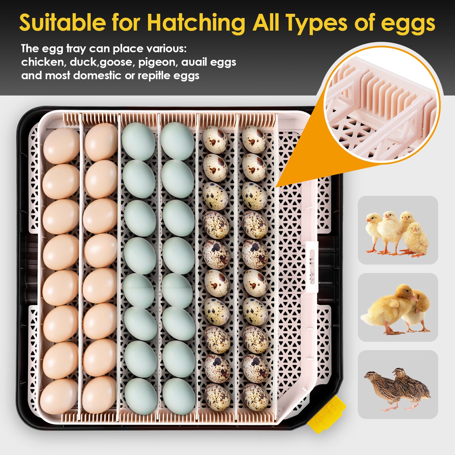 KRISRATE 48 Egg Incubator with Auto Turning & Digital Temp/Humidity Control - 360° Clear View Hatcher with LED Egg Candler for Chicken & Duck Eggs